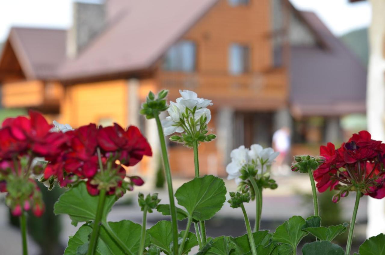 Hotel Sribni Rosy Mykulychyn Exterior foto